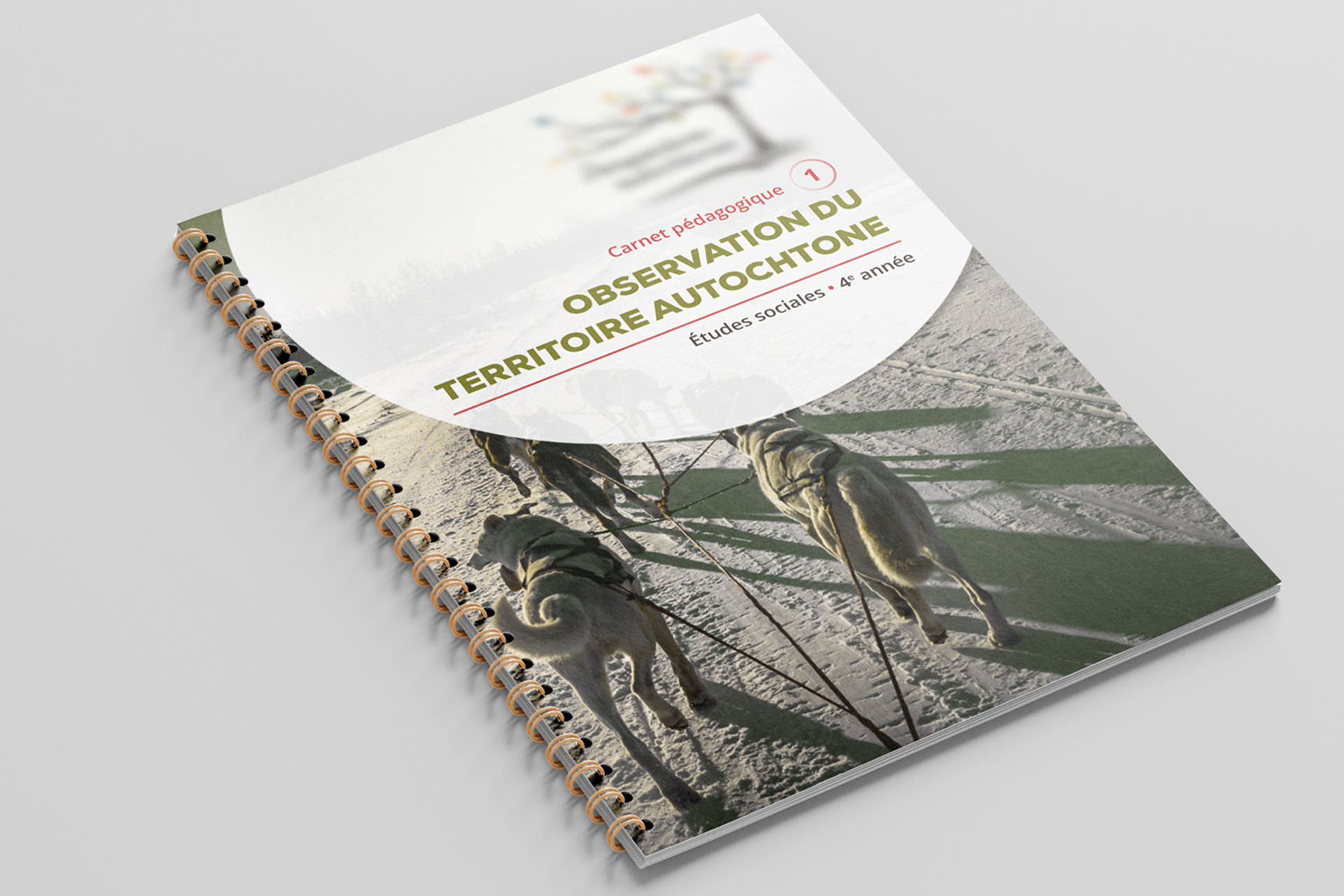 juliebosse_lecours_pa1